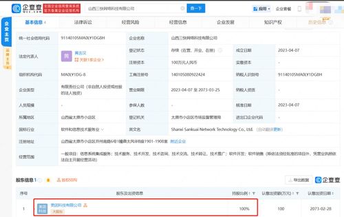 信息系統(tǒng)集成服務(wù) 構(gòu)建數(shù)字化未來的關(guān)鍵橋梁